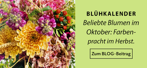 Blühkalender: Oktober-Blumen - Farbenpracht im Herbst