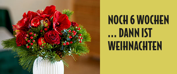 Entdecken Sie jetzt unsere festlichen Weihnachtsblumen
