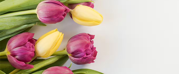 Dekoideen mit Frühlingsblumen entdecken