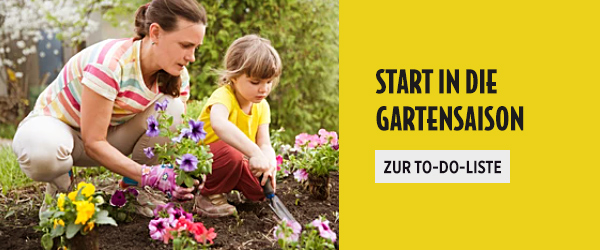 Heute ist der "Pflanz-eine-Blume-Tag"