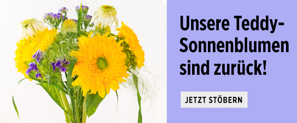 Entdecken Sie jetzt die komplette Sommer-Kollektion