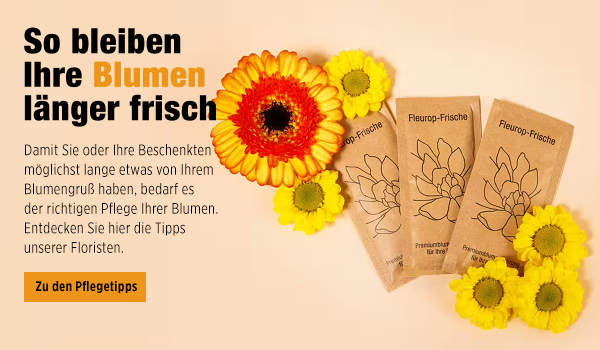 Pflegetipps für Schnittblumen
