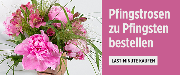 Saisonale Blumengrüße zu Pfingsten entdecken!