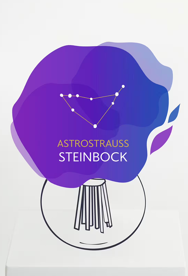 Astrostrauß Steinbock