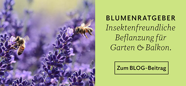 NEU im Blog: Wichtige Infos zum Weltbienentag
