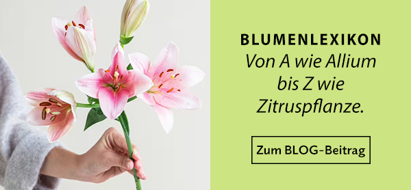 A-Z Fleurop-Blumenlexikon