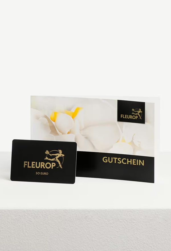 Geschenk-Gutscheine