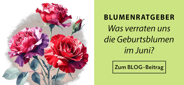Blumenratgeber: Die Geburtsblumen im Juni