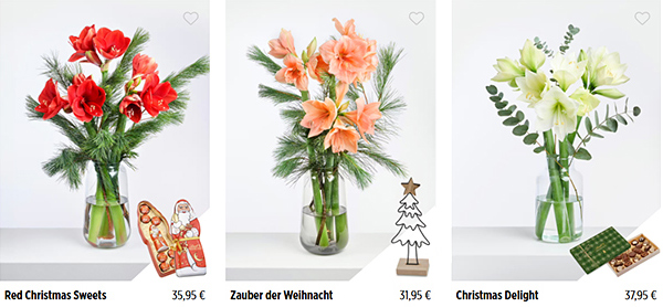 Jetzt an Nikolaus denken!