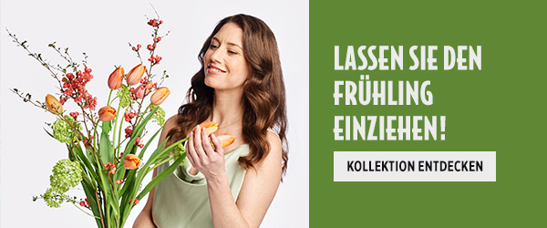 Stöbern Sie jetzt durch unsere blühende Frühlingswiese ...