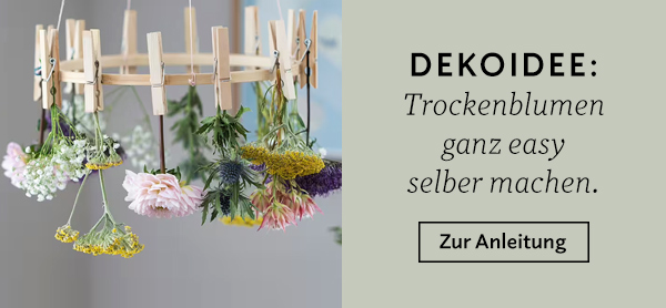 DIY-BLOG: Trockenblumen ganz easy selber machen!