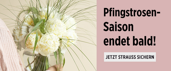 Letzte Chance: Jetzt Pfingstrosen senden!